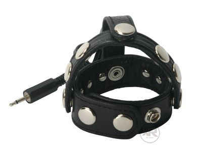 Radian Leather Ball Harness